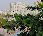 Shreyas Hostel