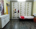 Shree Ladies PG